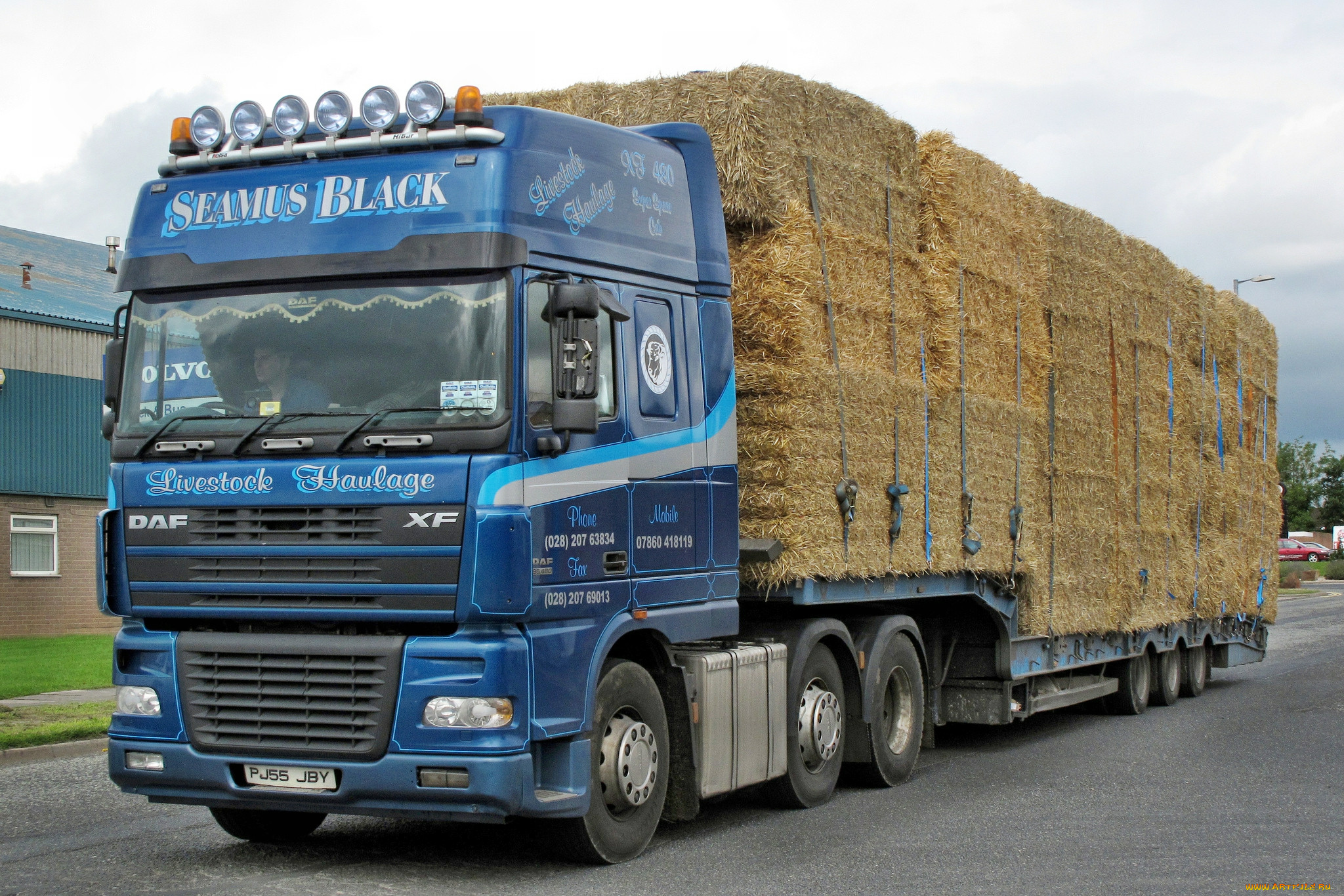 , daf , , , , , trucks, nv, , , , daf